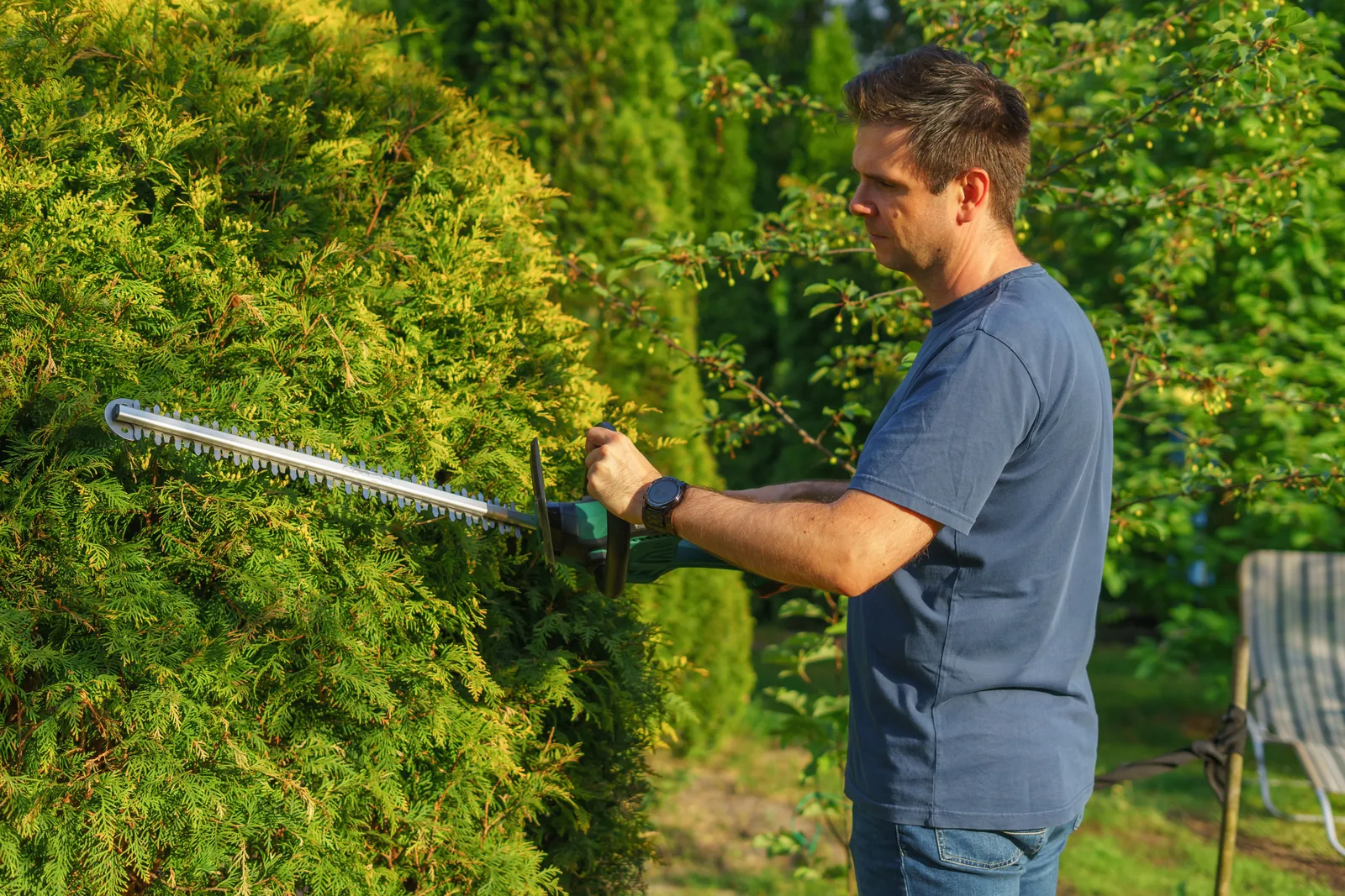 A Bravo Brothers crew member shaping a hedge in a Tucson garden